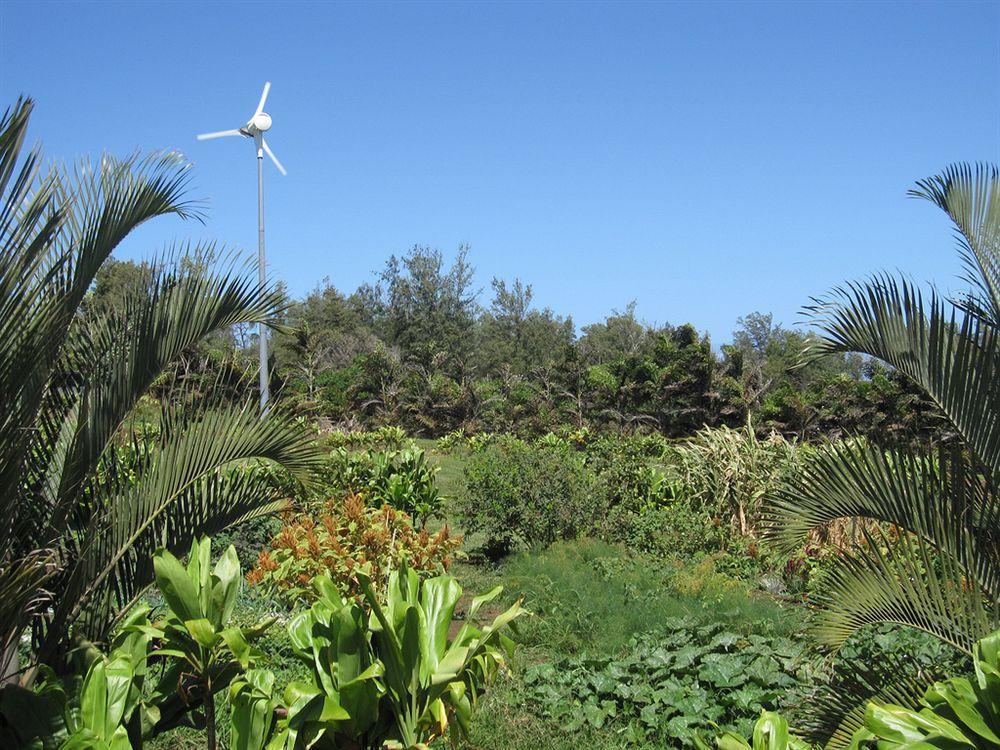 Hawaii Island Retreat At Ahu Pohaku Ho'Omaluhia Villa Kapaau Eksteriør bilde