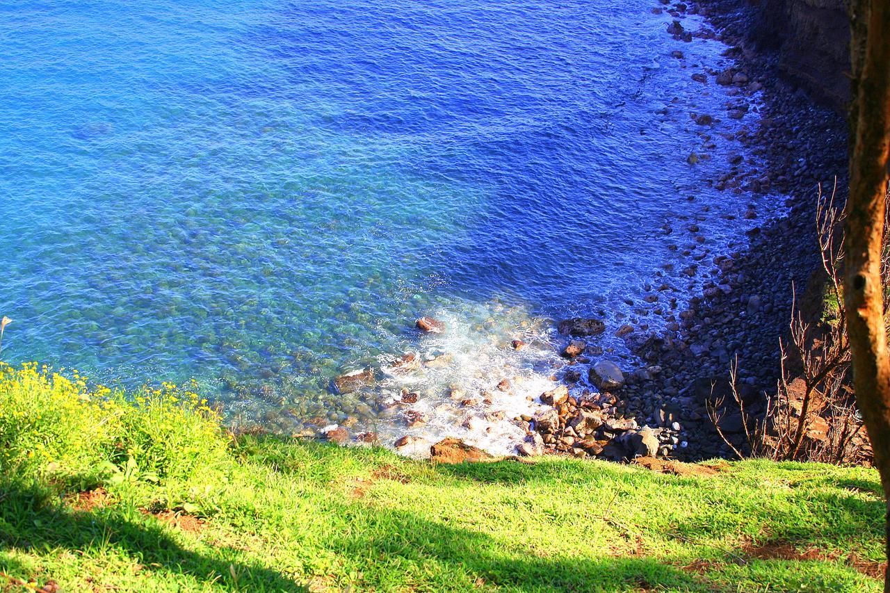 Hawaii Island Retreat At Ahu Pohaku Ho'Omaluhia Villa Kapaau Eksteriør bilde