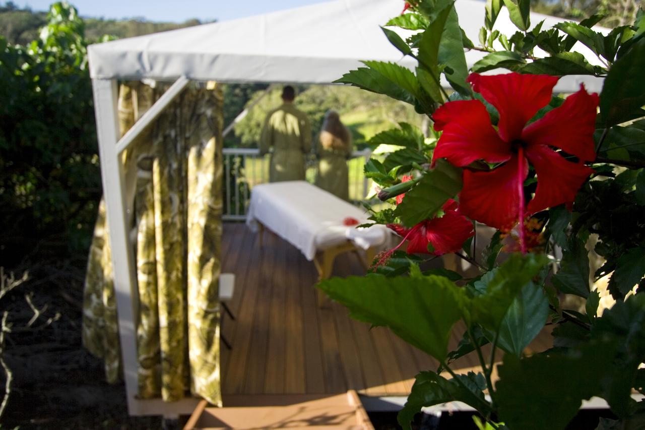 Hawaii Island Retreat At Ahu Pohaku Ho'Omaluhia Villa Kapaau Eksteriør bilde