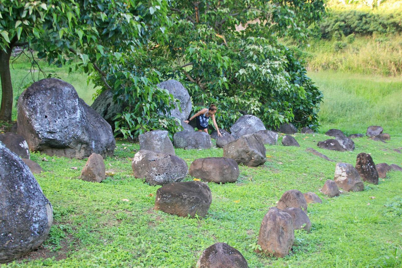 Hawaii Island Retreat At Ahu Pohaku Ho'Omaluhia Villa Kapaau Eksteriør bilde