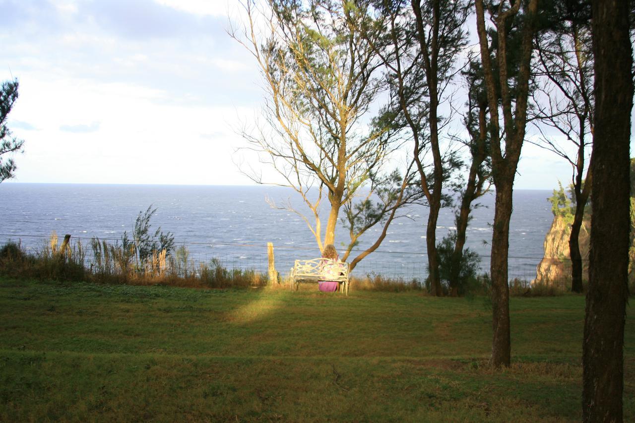 Hawaii Island Retreat At Ahu Pohaku Ho'Omaluhia Villa Kapaau Eksteriør bilde
