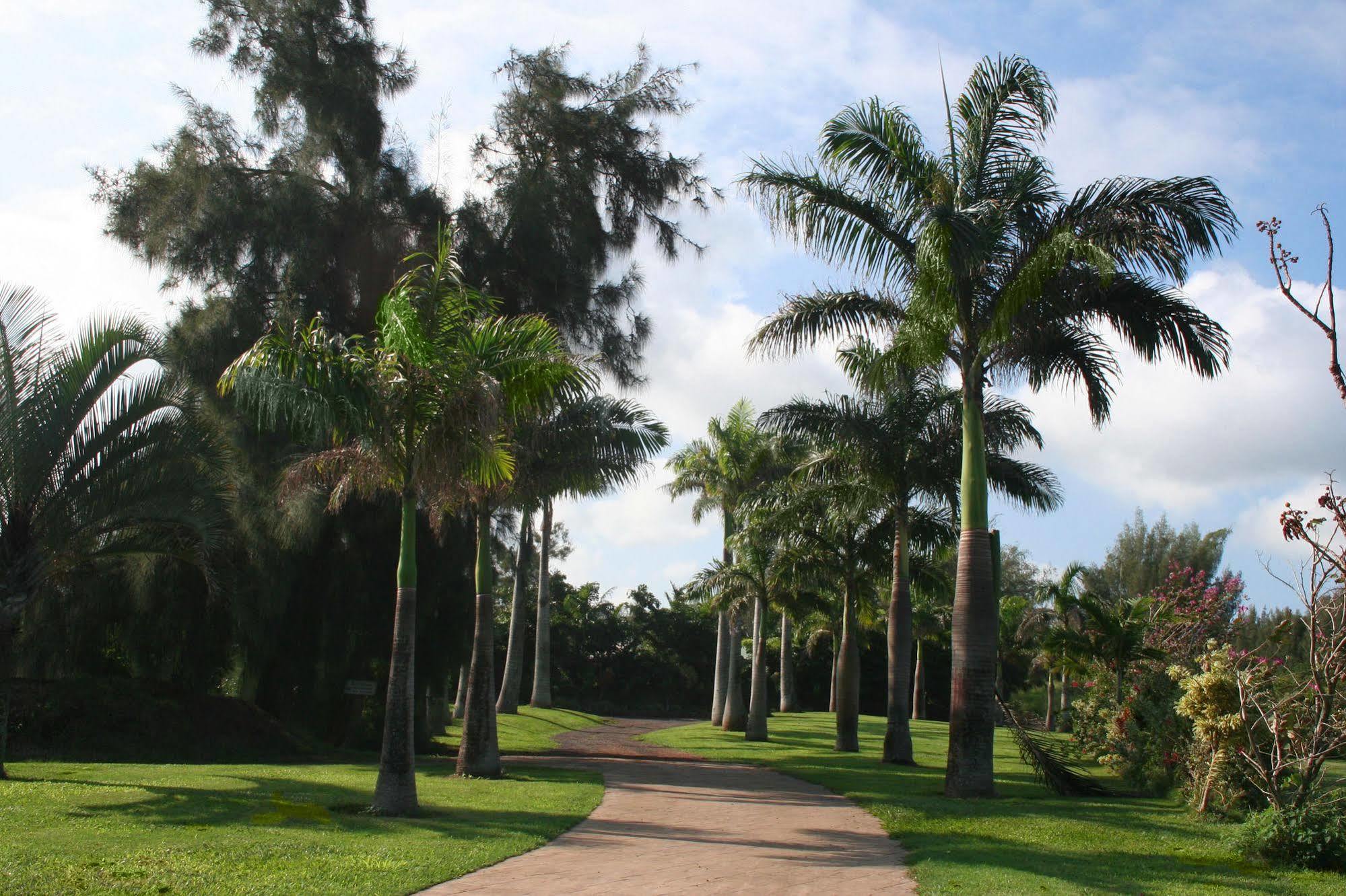 Hawaii Island Retreat At Ahu Pohaku Ho'Omaluhia Villa Kapaau Eksteriør bilde