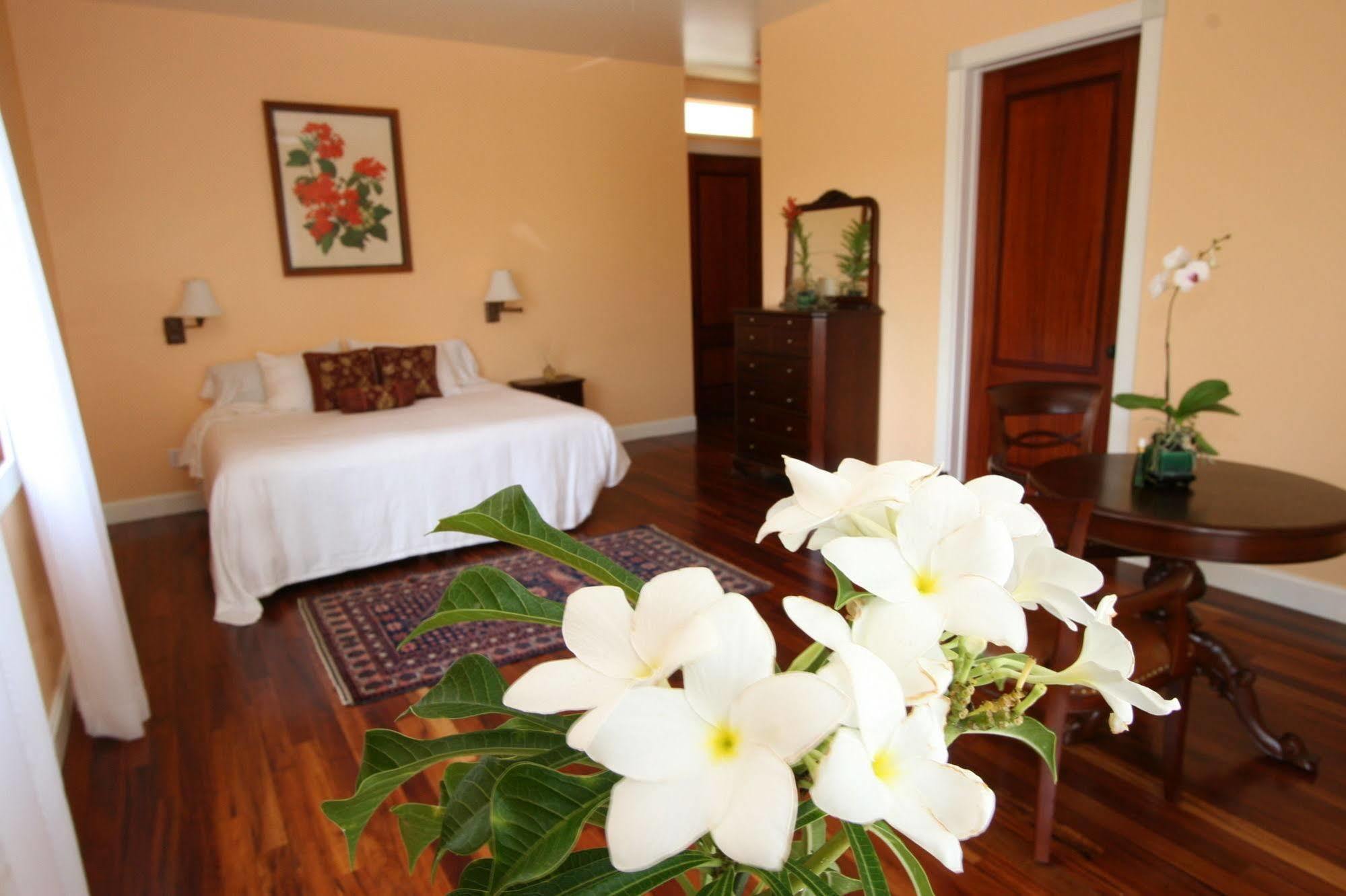 Hawaii Island Retreat At Ahu Pohaku Ho'Omaluhia Villa Kapaau Eksteriør bilde